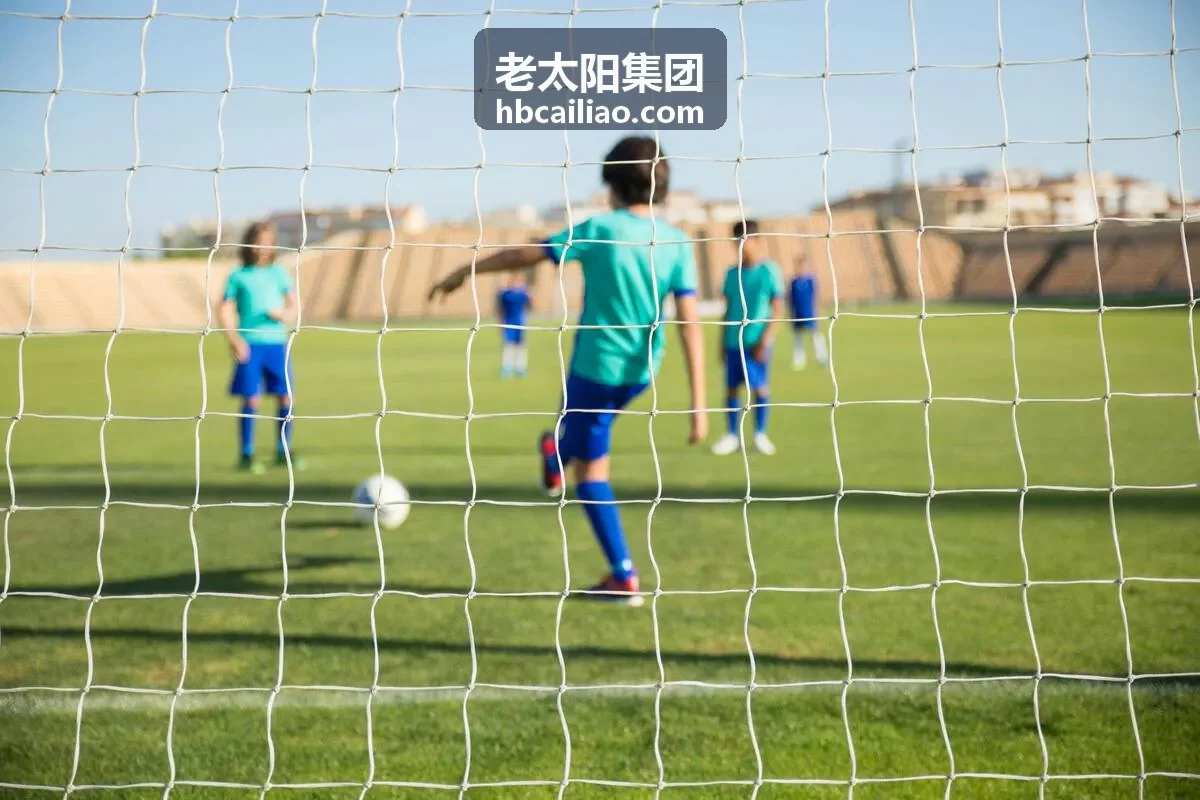 老太阳环保砌块产品