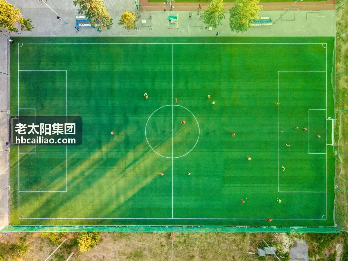老太阳防水卷材展示